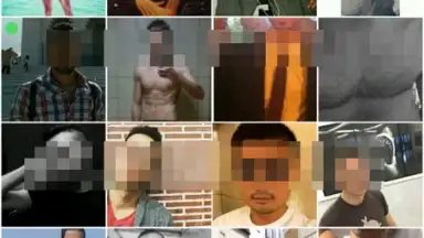 Hornet скриншот 3