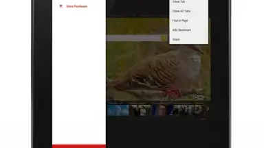 Anonymous Browser скриншот 17