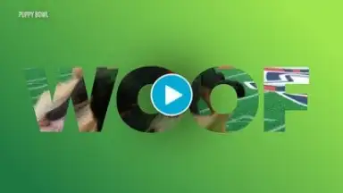 discovery+ (Android TV) скриншот 1