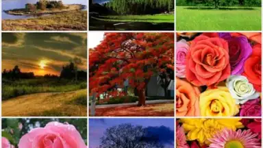 Clarosync скриншот 3