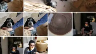 Google Photos скриншот 5