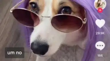 Downloader for TikTok скриншот 2