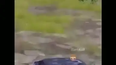 Rooter скриншот 2