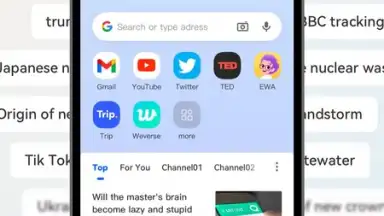 DDU Browser скриншот 2