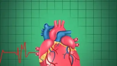 Cardiac Hospital скриншот 4