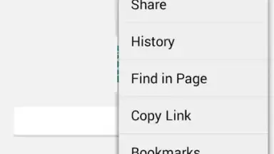 lnternet Exp1orer скриншот 3
