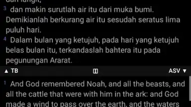 Alkitab скриншот 7