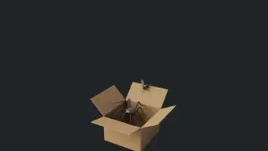 BlockP - AI Porn Blocker / Block Site скриншот 11