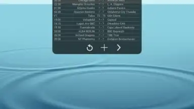 Basketball Livescore Widget скриншот 4