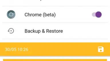 Native Clipboard скриншот 3