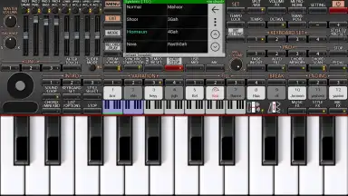 ORG 24 скриншот 2