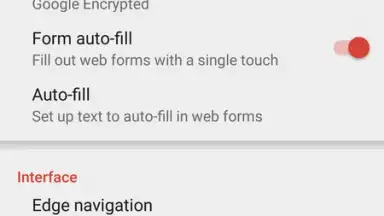 Pyrope Browser скриншот 2