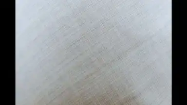 HedgeCam 2 скриншот 6