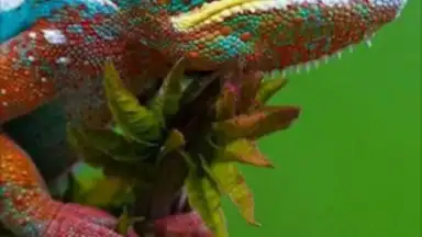 Flipboard скриншот 8