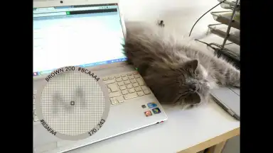 Pixolor скриншот 1