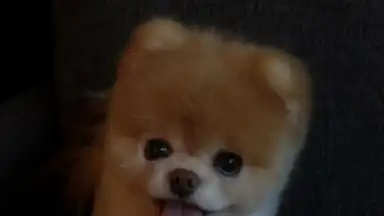 Boo Weather скриншот 2