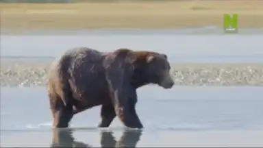 TV+ Kazakhtelecom скриншот 2