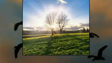 Promesas скриншот 9