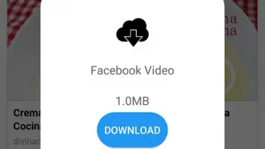 Daily Video Downloader скриншот 4