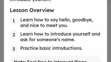 Pingo AI скриншот 5