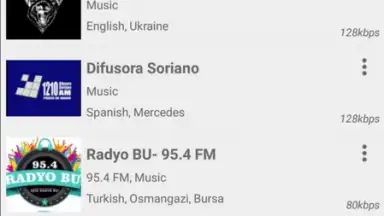 Radio FM скриншот 2