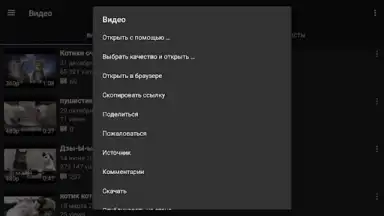 Video App for VK скриншот 9