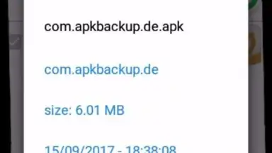 APK Backup(Pro) скриншот 3