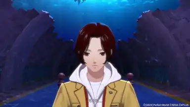 女神异闻录：夜幕魅影 скриншот 7