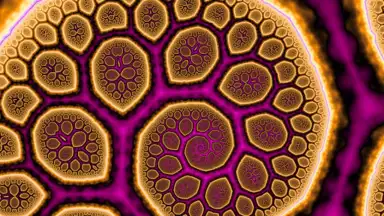 MandelBrowser скриншот 21