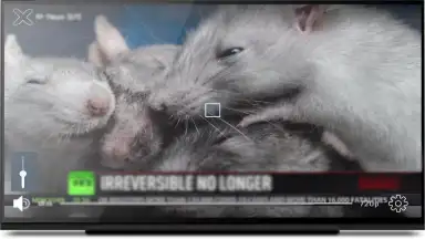 KgTv Player - IPTV Player скриншот 13