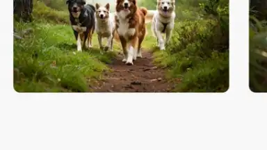 Adobe Firefly скриншот 8