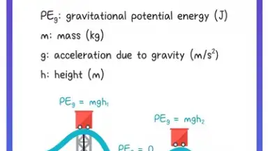 Socratic by Google скриншот 2