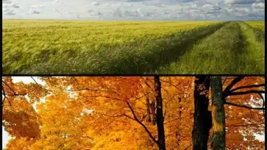 Samsung Photo Editor скриншот 3