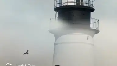 GO Weather Forecast and Widgets скриншот 4