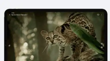 VidHub скриншот 15