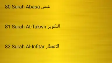Sheikh Sudais Quran MP3 скриншот 4