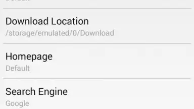 lnternet Exp1orer скриншот 2