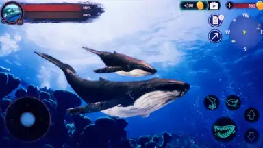 The Humpback Whales скриншот 3