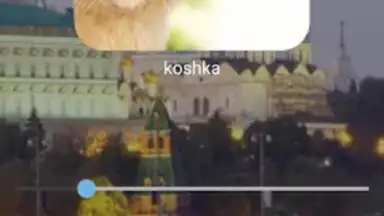 Bluebird Russian скриншот 5