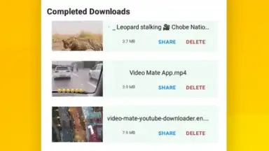Vidora YouTube Downloader | free & fast скриншот 12