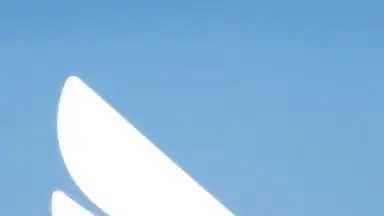 DingTalk скриншот 1