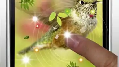 Colibri Spring 3D LWP скриншот 1