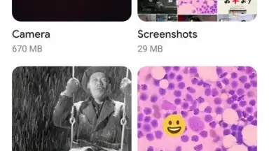Google Gallery скриншот 2