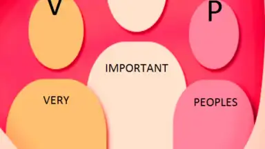 VIP скриншот 3