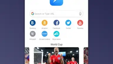 Mini Private Browser: Fast Search, Download, No Ad скриншот 4