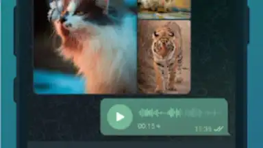 TG Connect скриншот 4