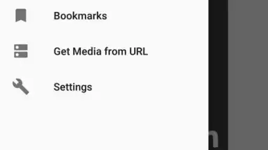 VidCatch скриншот 5