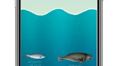 Neal Fun скриншот 1