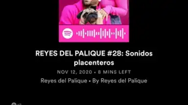 Spotify скриншот 18