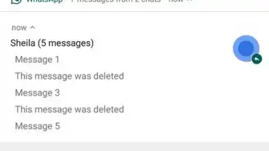 WhatsRemoved скриншот 9